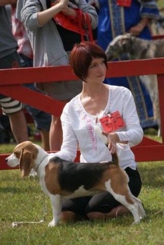 zakopane - jamajka - klasa szczenit - w.o. 1